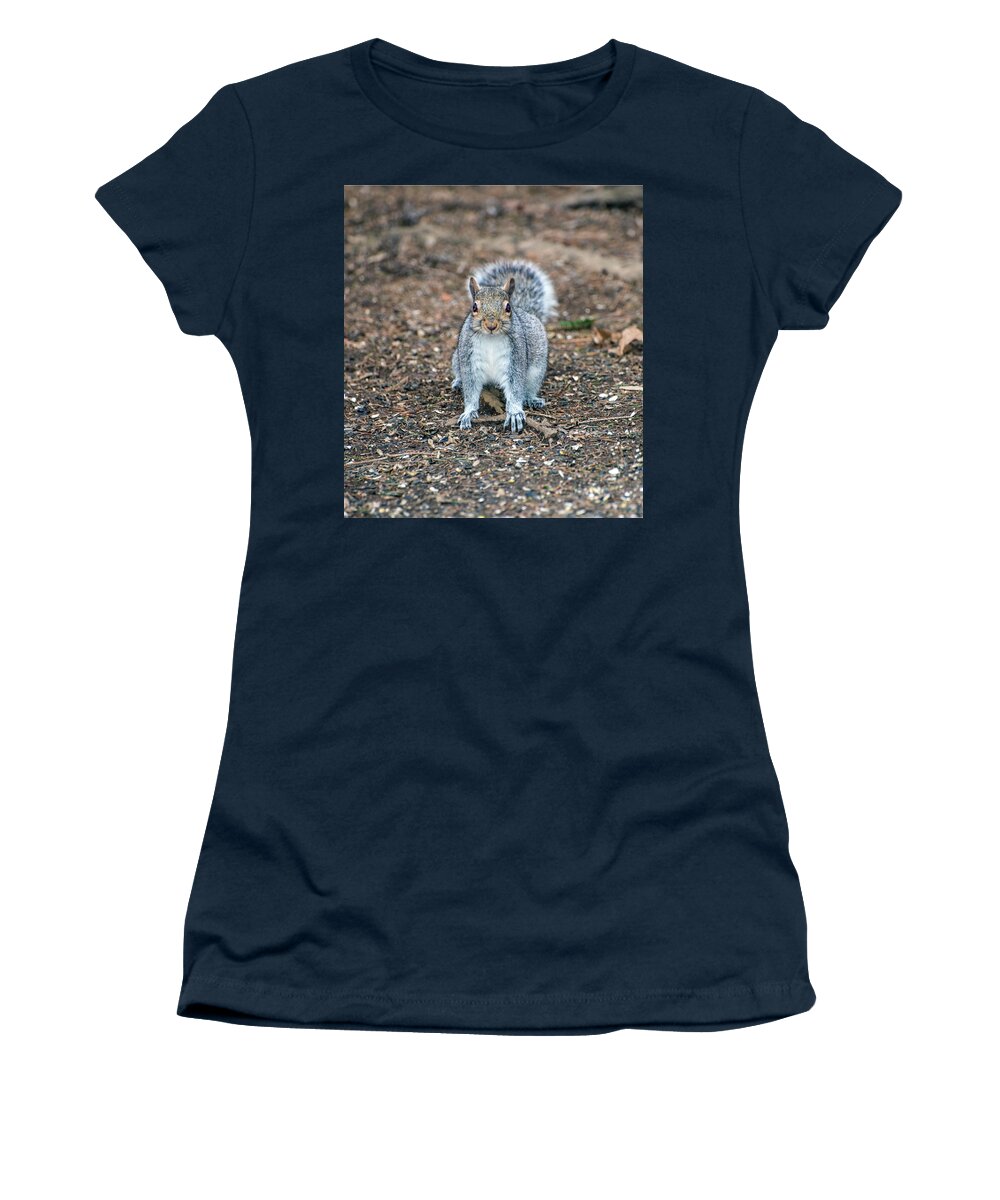 Animals Women's T-Shirt featuring the photograph Squriel Full Face by Paul Ross