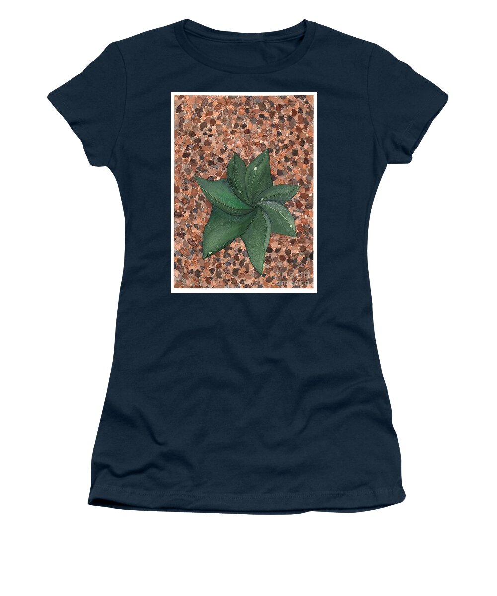 Succulent Women's T-Shirt featuring the painting Star Succulent by Hilda Wagner