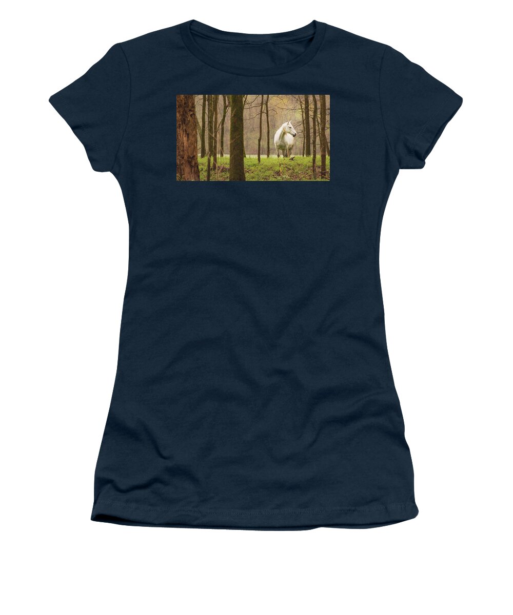 Missouri Wild Horses Women's T-Shirt featuring the photograph Stepping into the Wild by Holly Ross