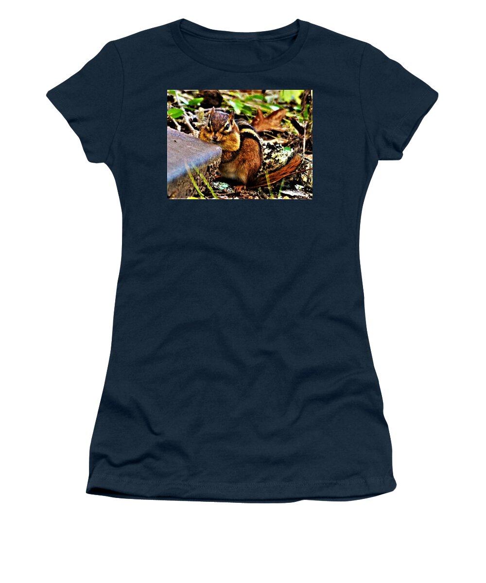 Chipmunk Women's T-Shirt featuring the photograph Storing for Winter by Chuck Brown