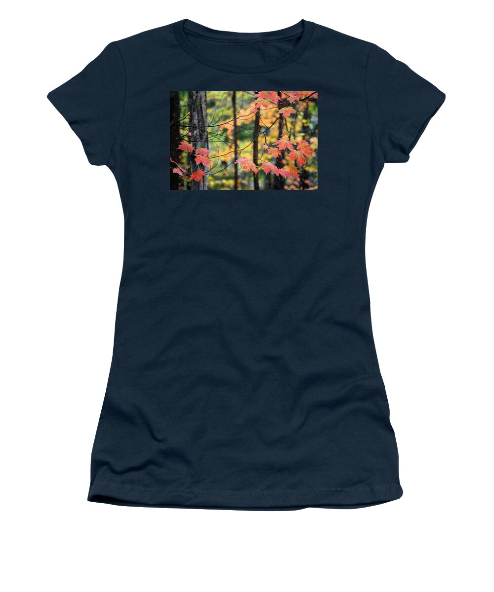 Leaves Women's T-Shirt featuring the photograph Stringing Up the Colors by Sonja Jones