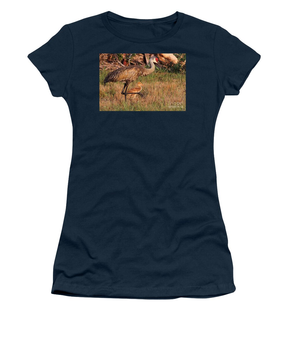 Sandhill Crane Women's T-Shirt featuring the photograph Strolling Sandhill Crane Family by Meg Rousher
