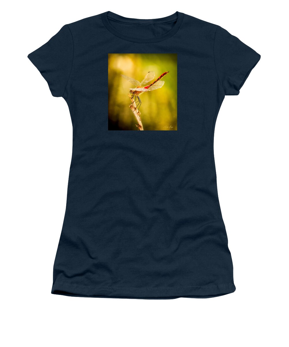 Animals Women's T-Shirt featuring the photograph Summer Meadowhawk by Rikk Flohr