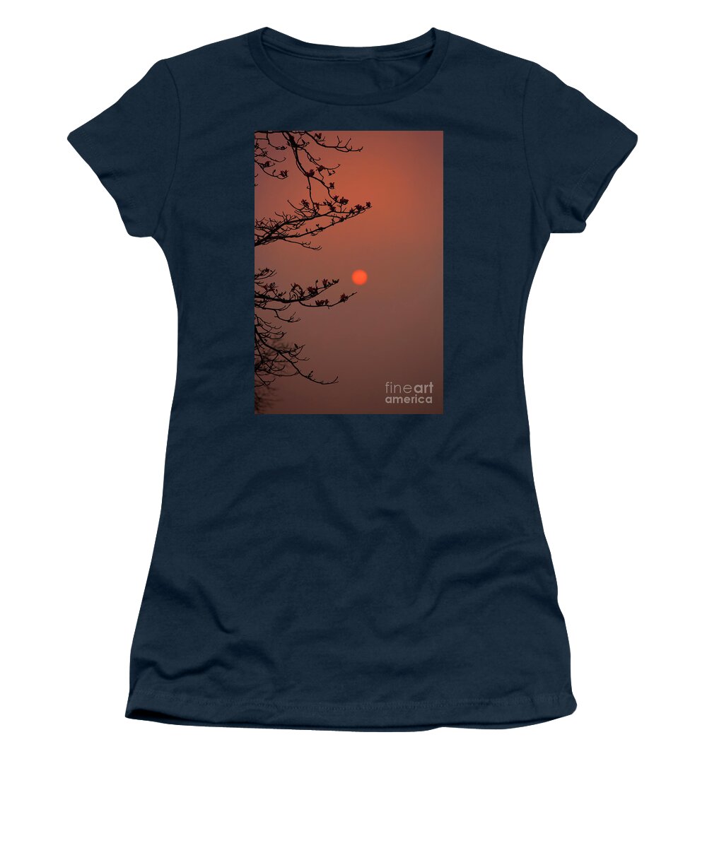 Blossoms Women's T-Shirt featuring the photograph Sun Blossoms Nature Asia by Chuck Kuhn