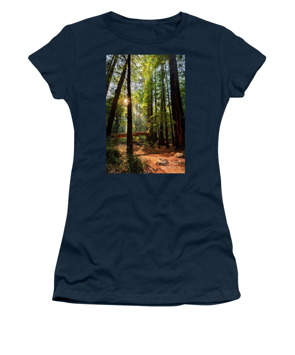  Big Basin Redwoods Women's T-Shirt featuring the photograph Sun Rays Big Basin by Baywest Imaging