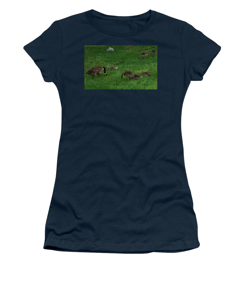 Canadian Geese Women's T-Shirt featuring the photograph Sunday Brunch by Christopher James