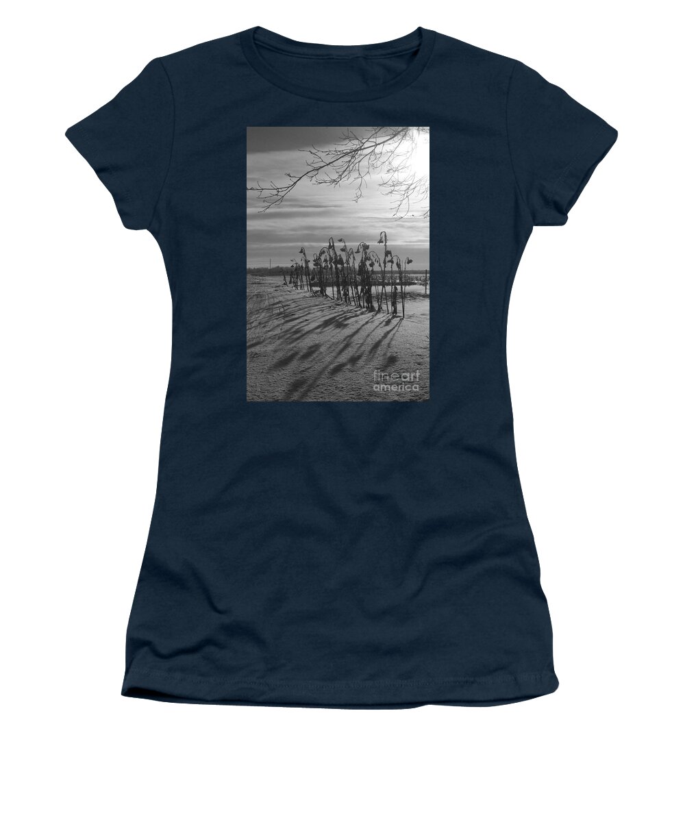 Sunflower Women's T-Shirt featuring the photograph Sunflowers in the Winter Sun by Mary Mikawoz