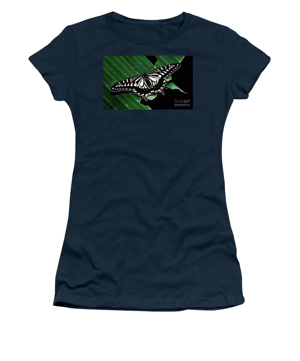 Animal Women's T-Shirt featuring the photograph Swallowtail Butterfly- close by Rick Bures