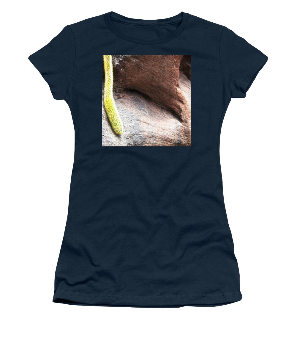 Cactus Women's T-Shirt featuring the photograph Tail of the Cactus by Robert Knight