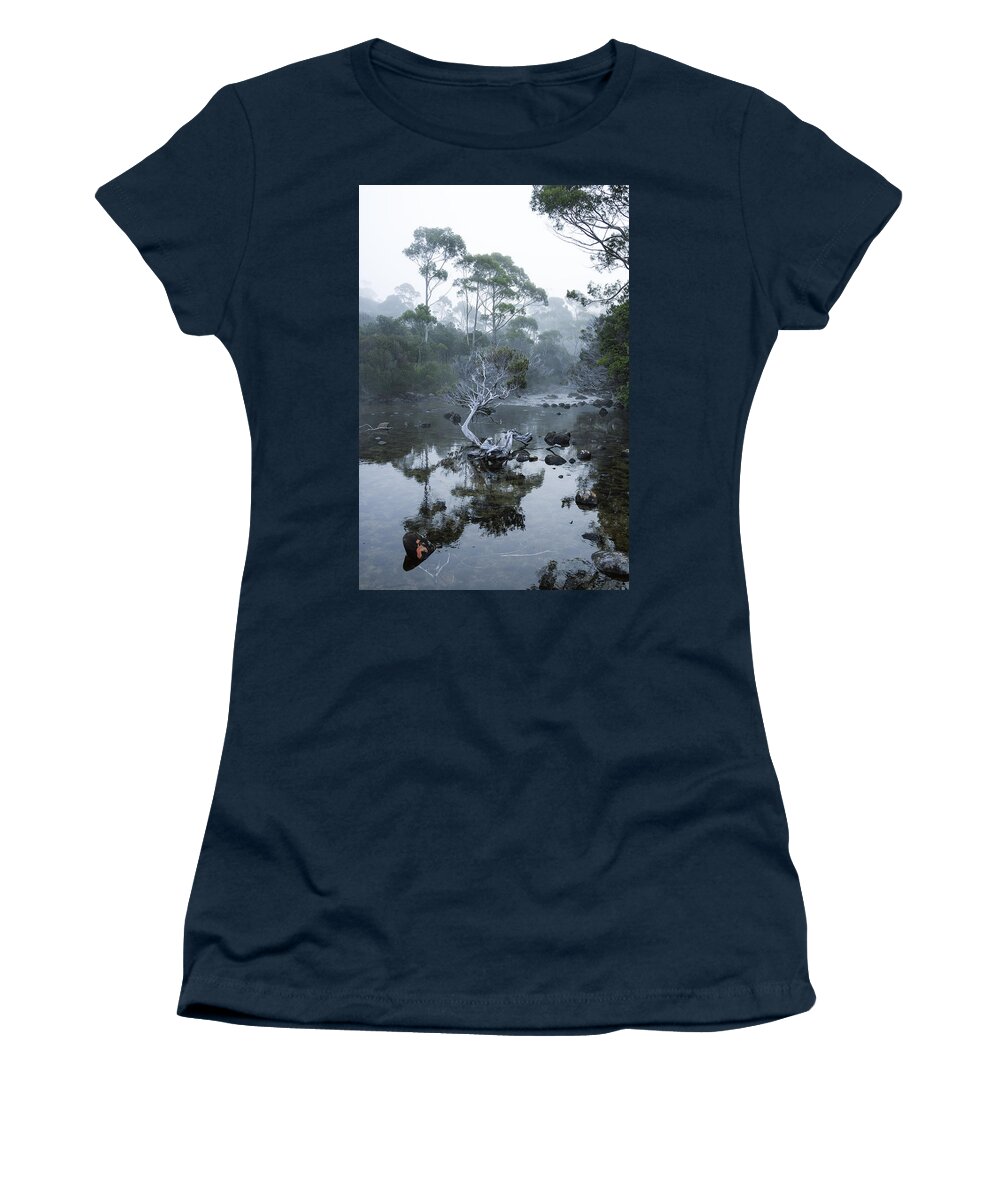 Tea Tree Women's T-Shirt featuring the photograph Teetrea by Anthony Davey