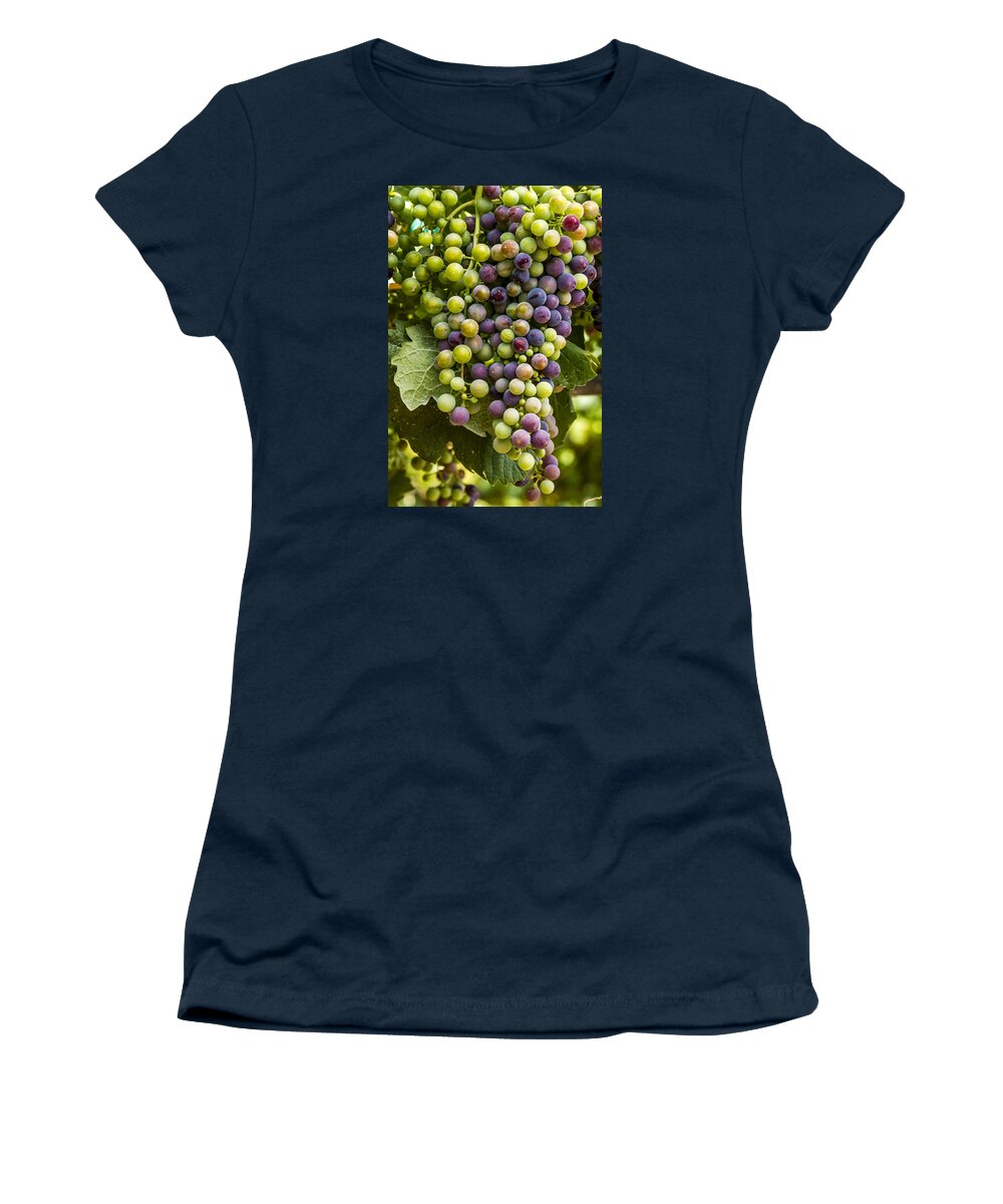 Colorado Vineyard Women's T-Shirt featuring the photograph The Art of Wine Grapes by Teri Virbickis
