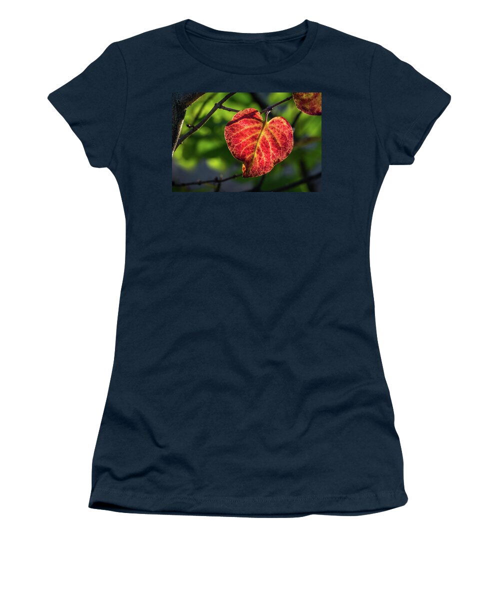 Fall Women's T-Shirt featuring the photograph The Autumn Heart by Bill Pevlor