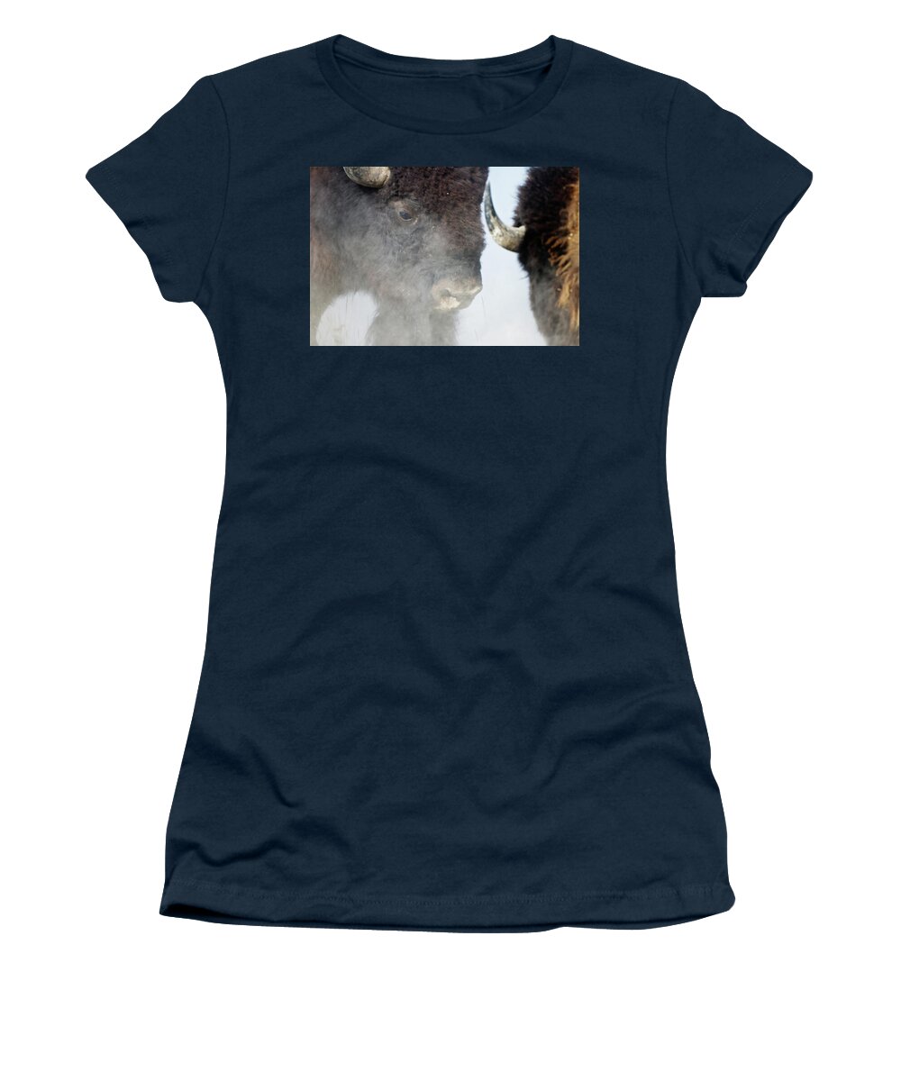 Bison Women's T-Shirt featuring the photograph The Battle by Eilish Palmer