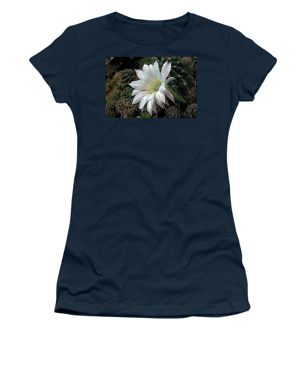 White Women's T-Shirt featuring the photograph The Beauty of Cactus by Hazel Vaughn