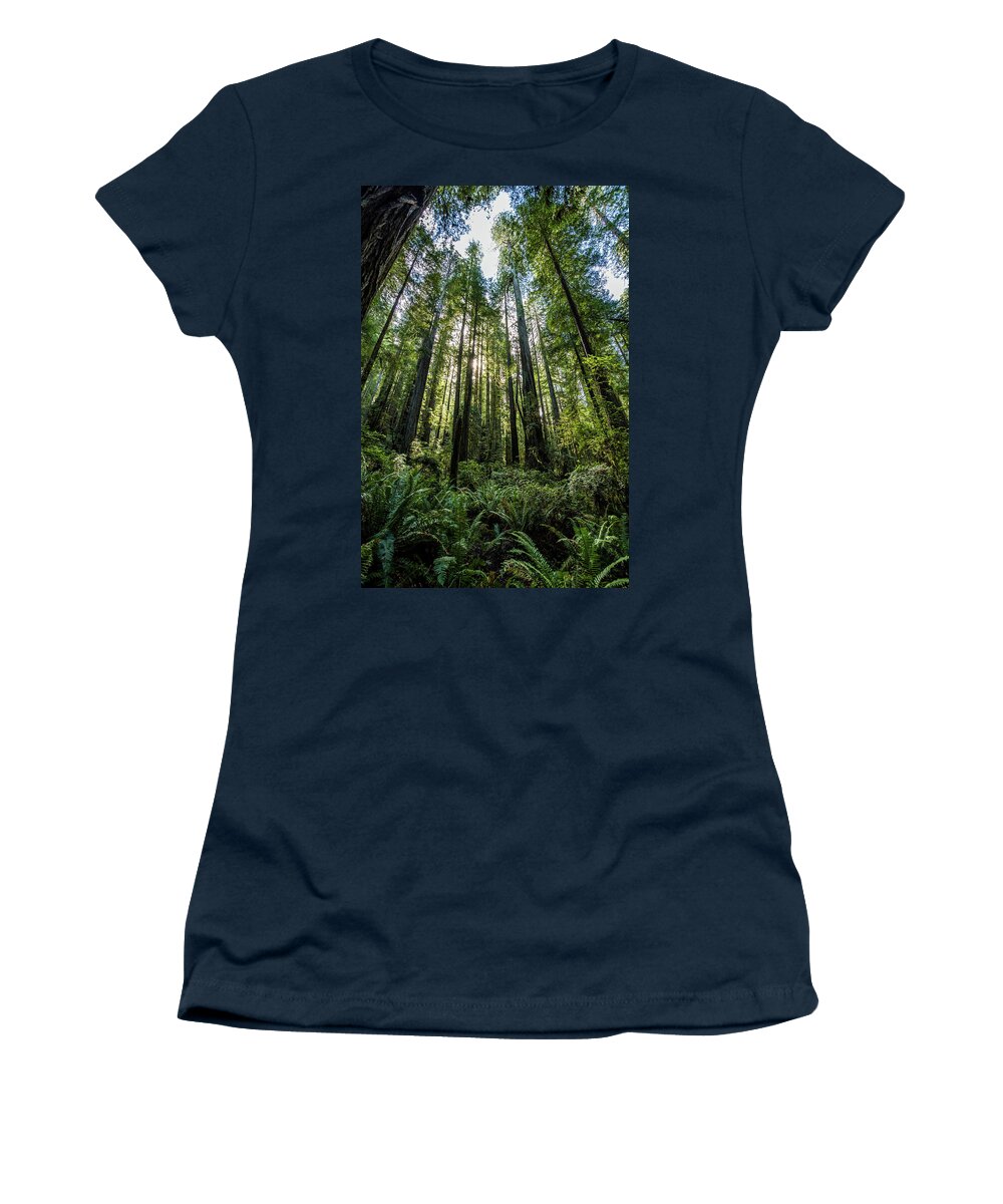  Women's T-Shirt featuring the photograph The Forest by Paul Freidlund
