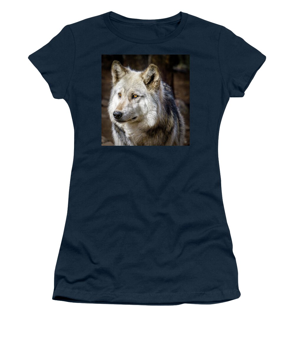 Animal Women's T-Shirt featuring the photograph The Gray Wolf by Teri Virbickis