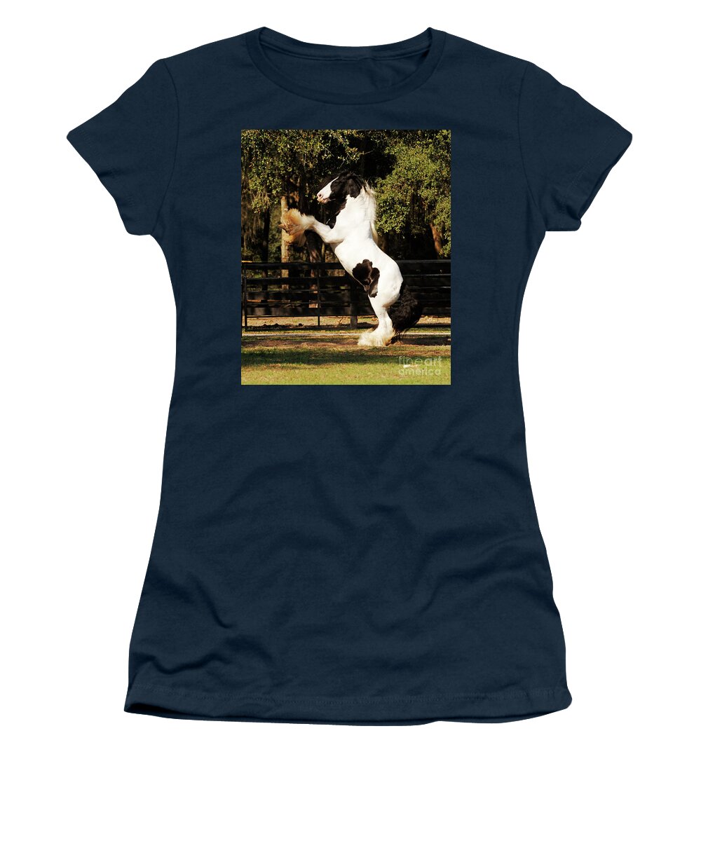 Gypsy Gold Gypsy Vanners Women's T-Shirt featuring the photograph The Gypsy King by Carien Schippers