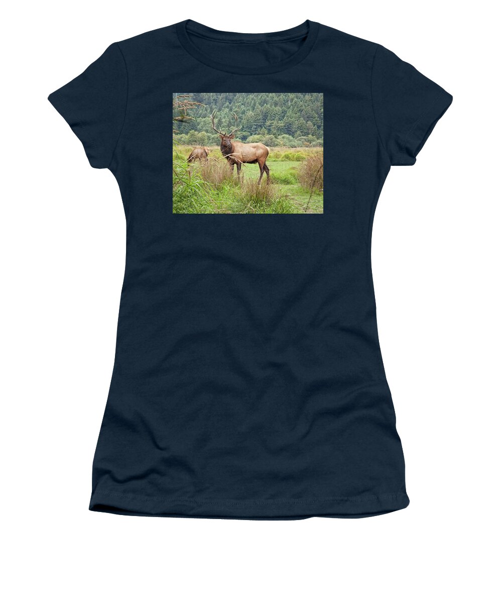 Landscape Women's T-Shirt featuring the photograph The Leader by John M Bailey