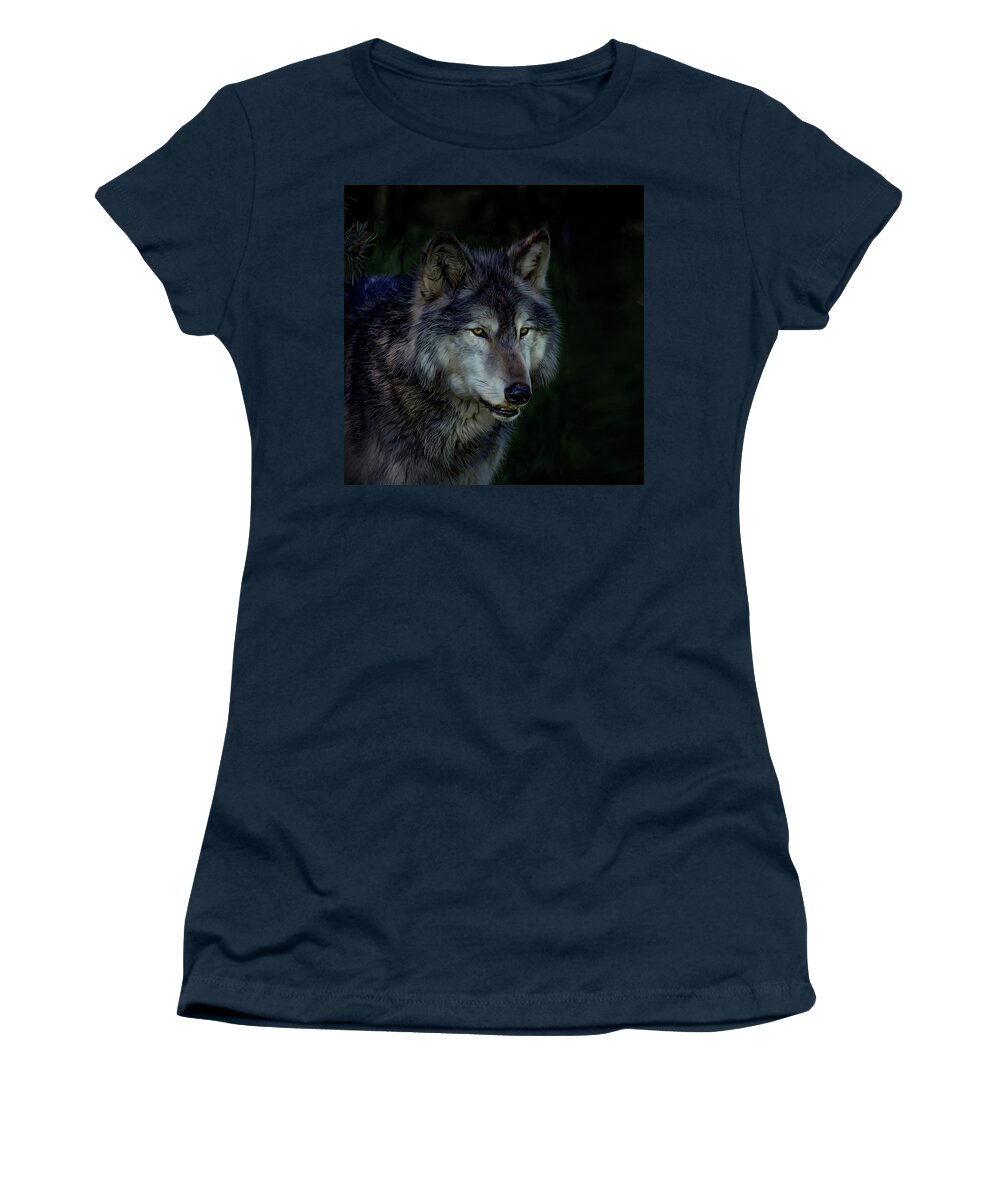 Wolf Women's T-Shirt featuring the photograph The Night belongs to the Wolf by Brian Tarr