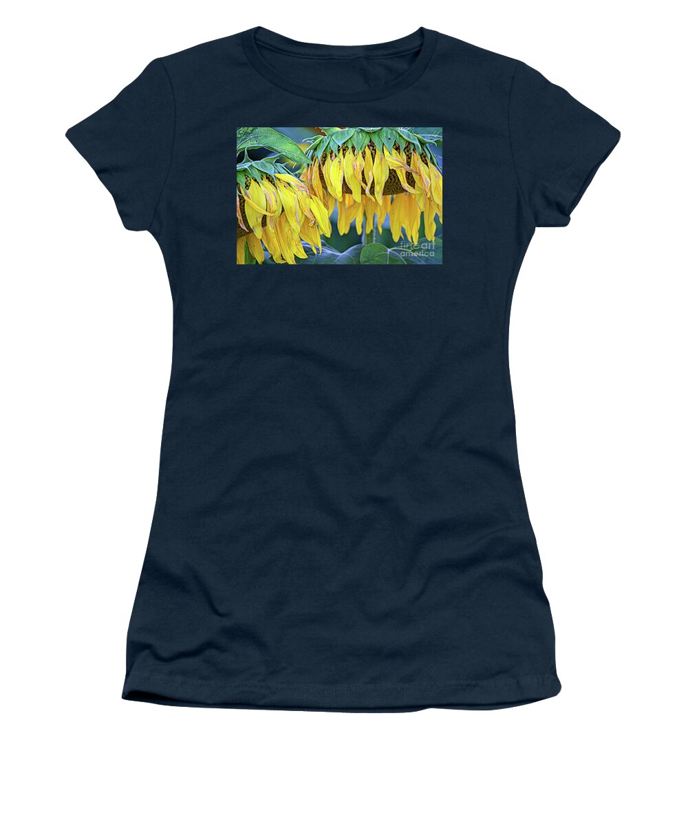 Sunflowers Women's T-Shirt featuring the photograph The Old Sunflowers by Jale Fancey