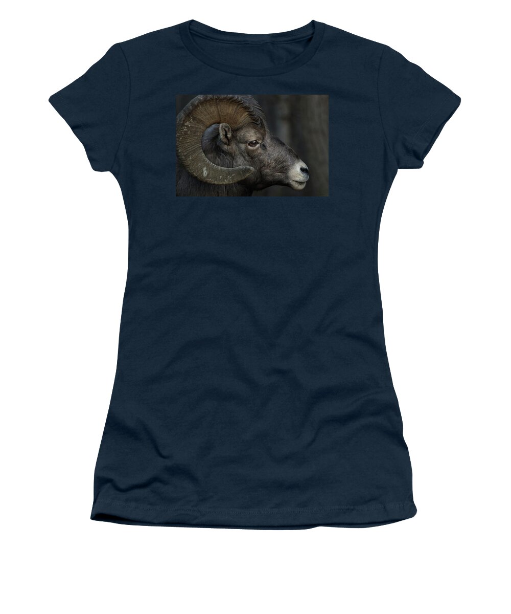 The Women's T-Shirt featuring the photograph The Profile by Brian Gustafson