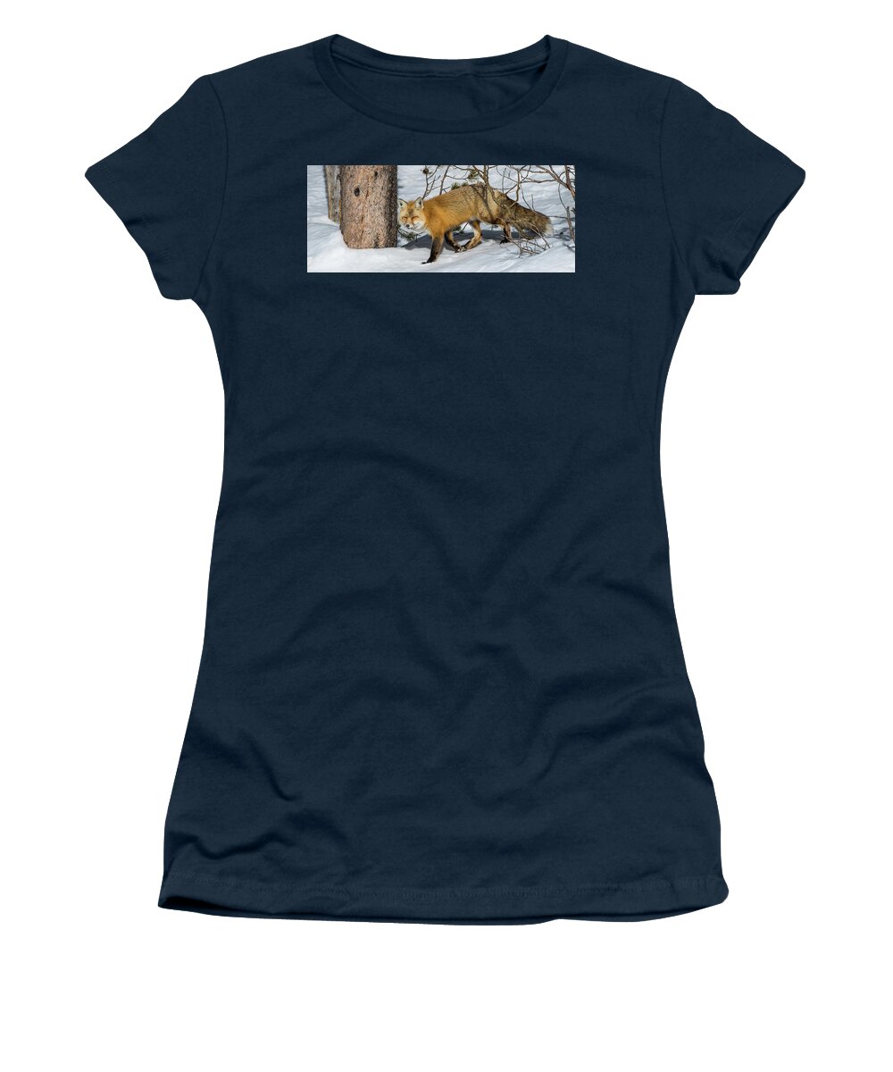 Red Fox Women's T-Shirt featuring the photograph The Red Fox by Yeates Photography