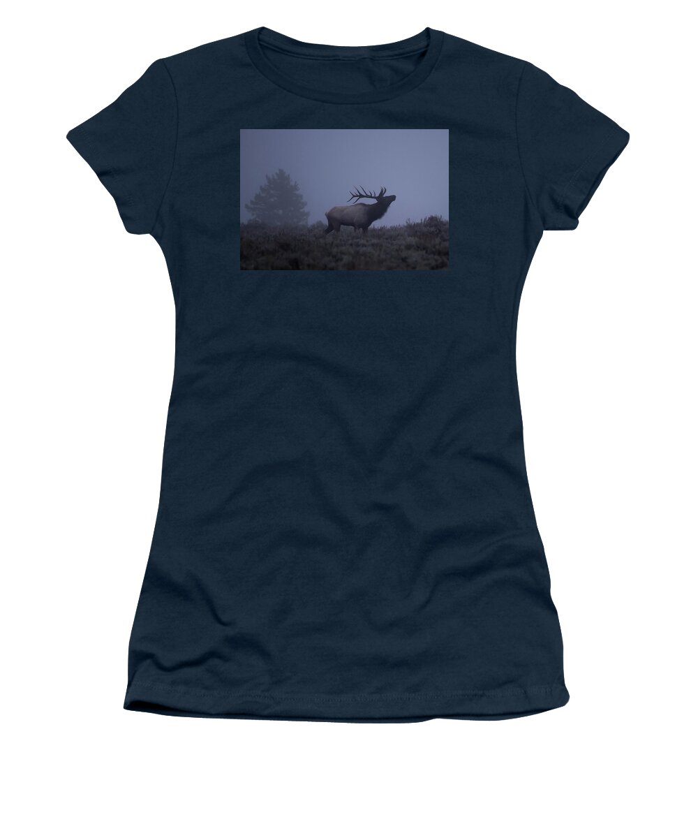 Elk Women's T-Shirt featuring the photograph The Rut by Jody Partin
