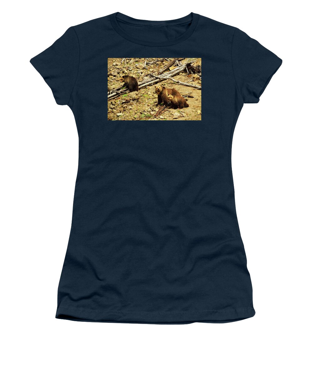 Grizzly Bear. Bears Women's T-Shirt featuring the photograph The Three Bears by Greg Norrell