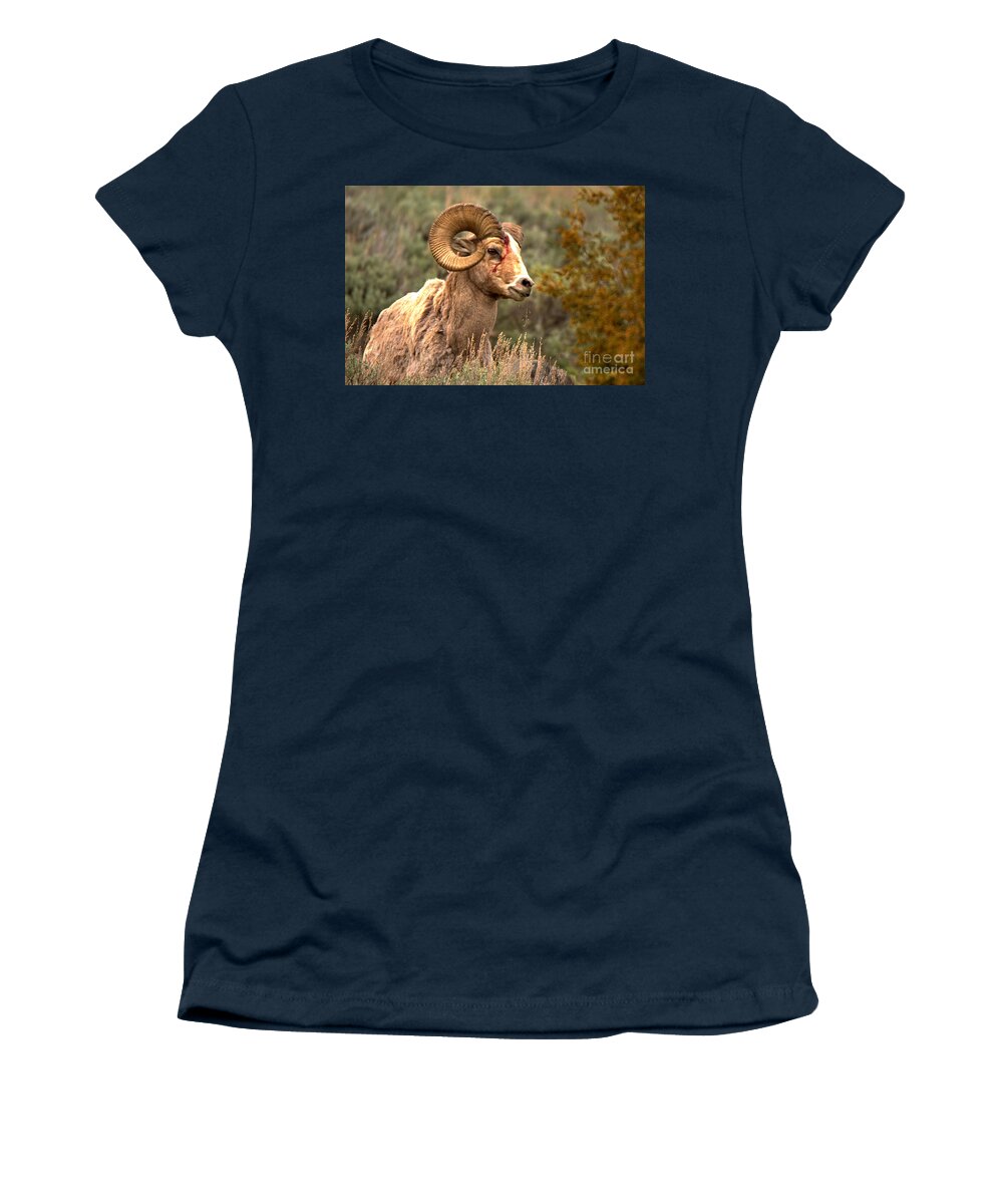 Bighorn Women's T-Shirt featuring the photograph The Wounded Warrior by Adam Jewell