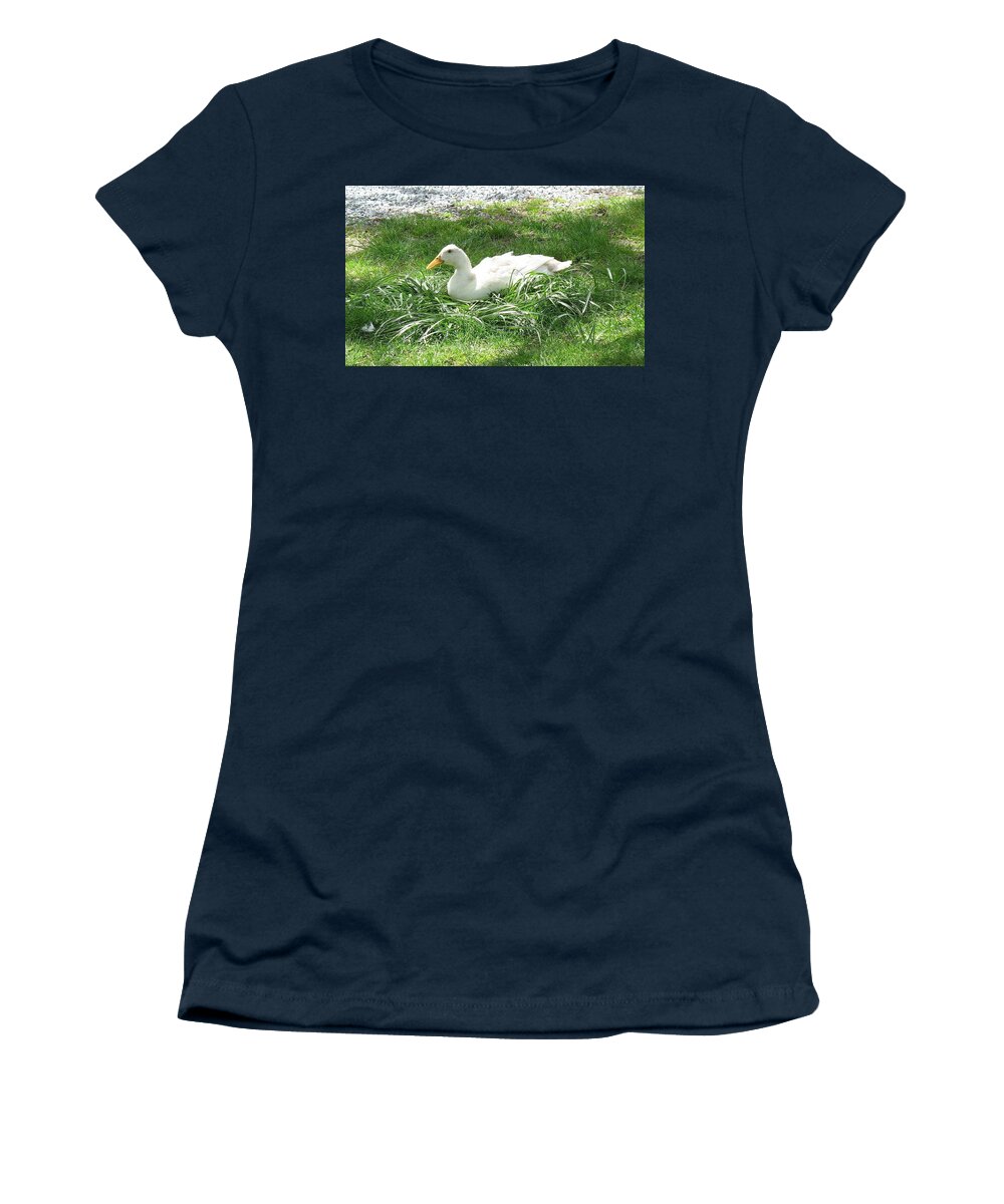 Animals Women's T-Shirt featuring the photograph This is my spot by Ed Smith
