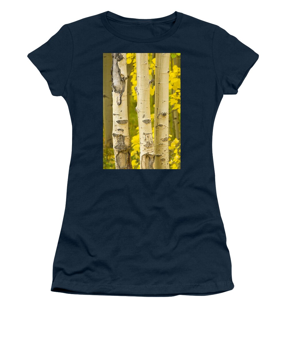 Autumn Women's T-Shirt featuring the photograph Three Autumn Aspens by James BO Insogna