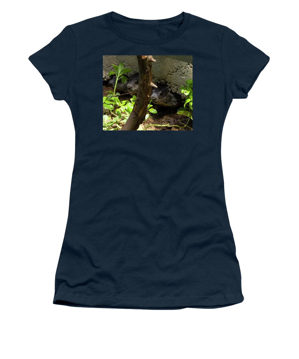 Woodchuck Women's T-Shirt featuring the photograph Three baby woodchucks by Geoff Jewett