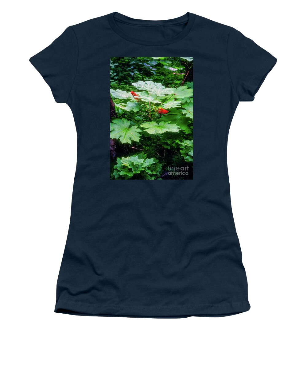 Chugiak Women's T-Shirt featuring the photograph Thunderbird Fall Trail Foliage by Bob Phillips