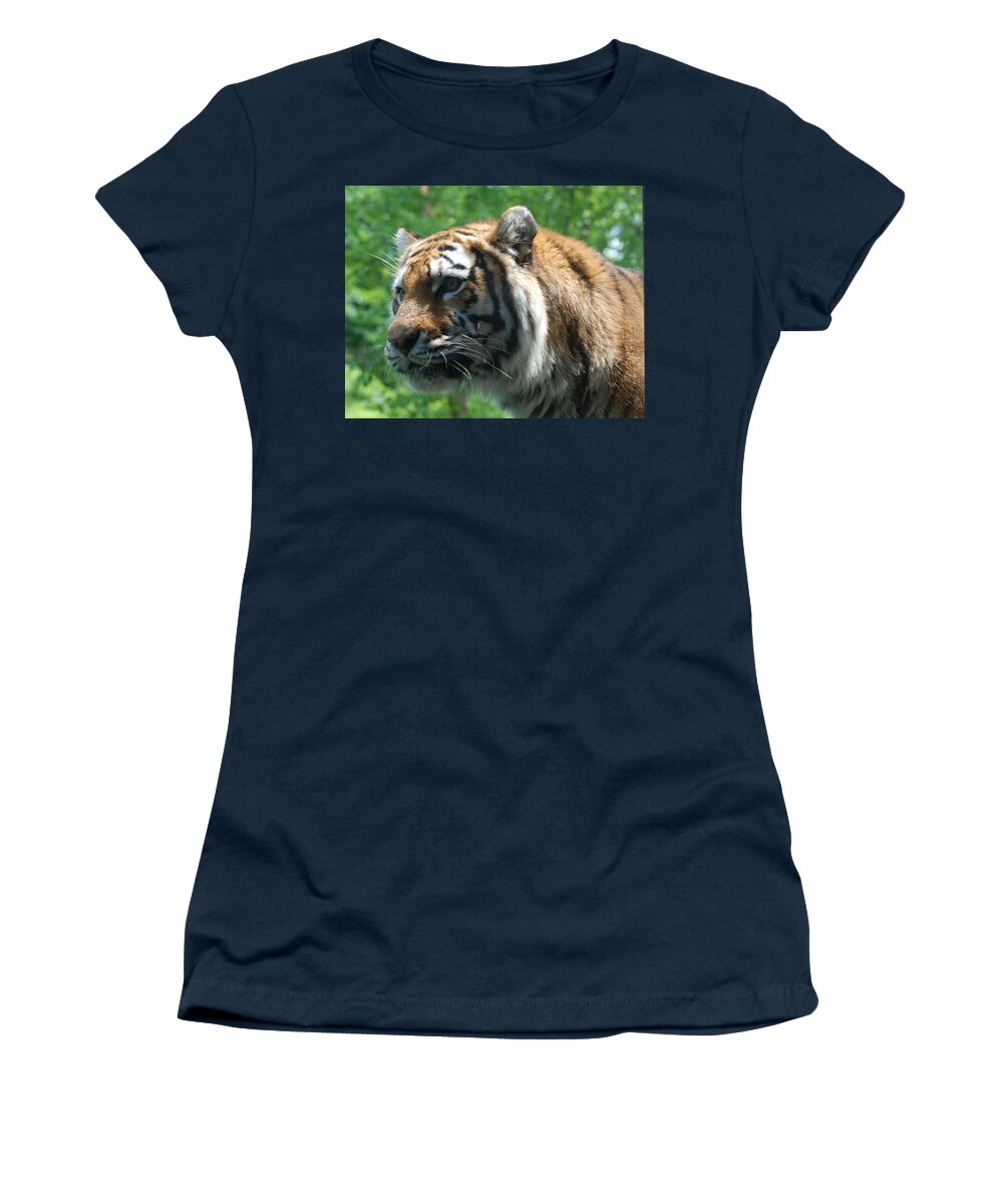 Tiger Women's T-Shirt featuring the photograph Tiger Profile by Richard Bryce and Family