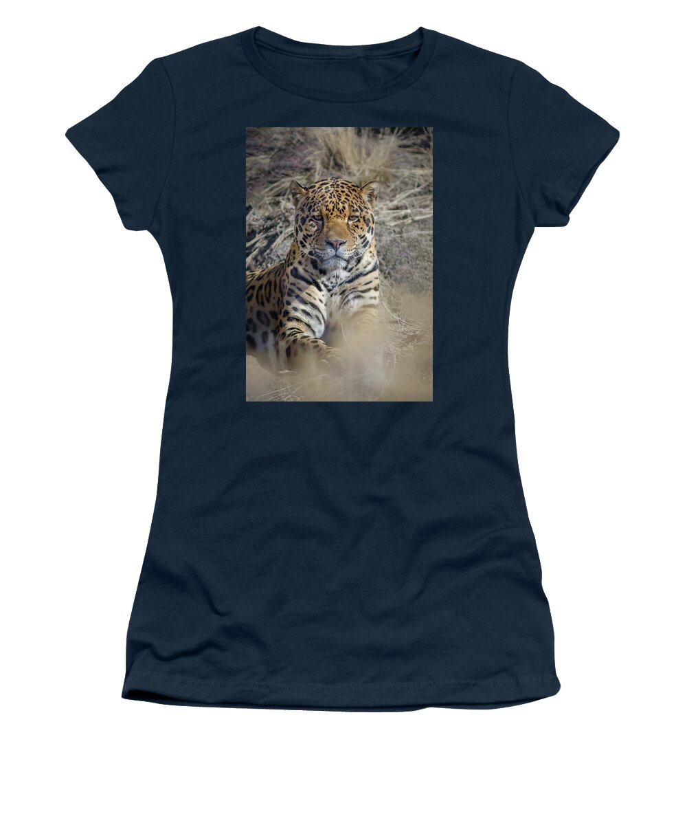 Animal Ark Women's T-Shirt featuring the photograph Jaguar by Rick Mosher