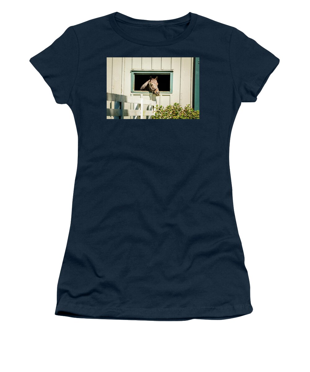 Horse Women's T-Shirt featuring the photograph Time for a Tan by Pamela Williams