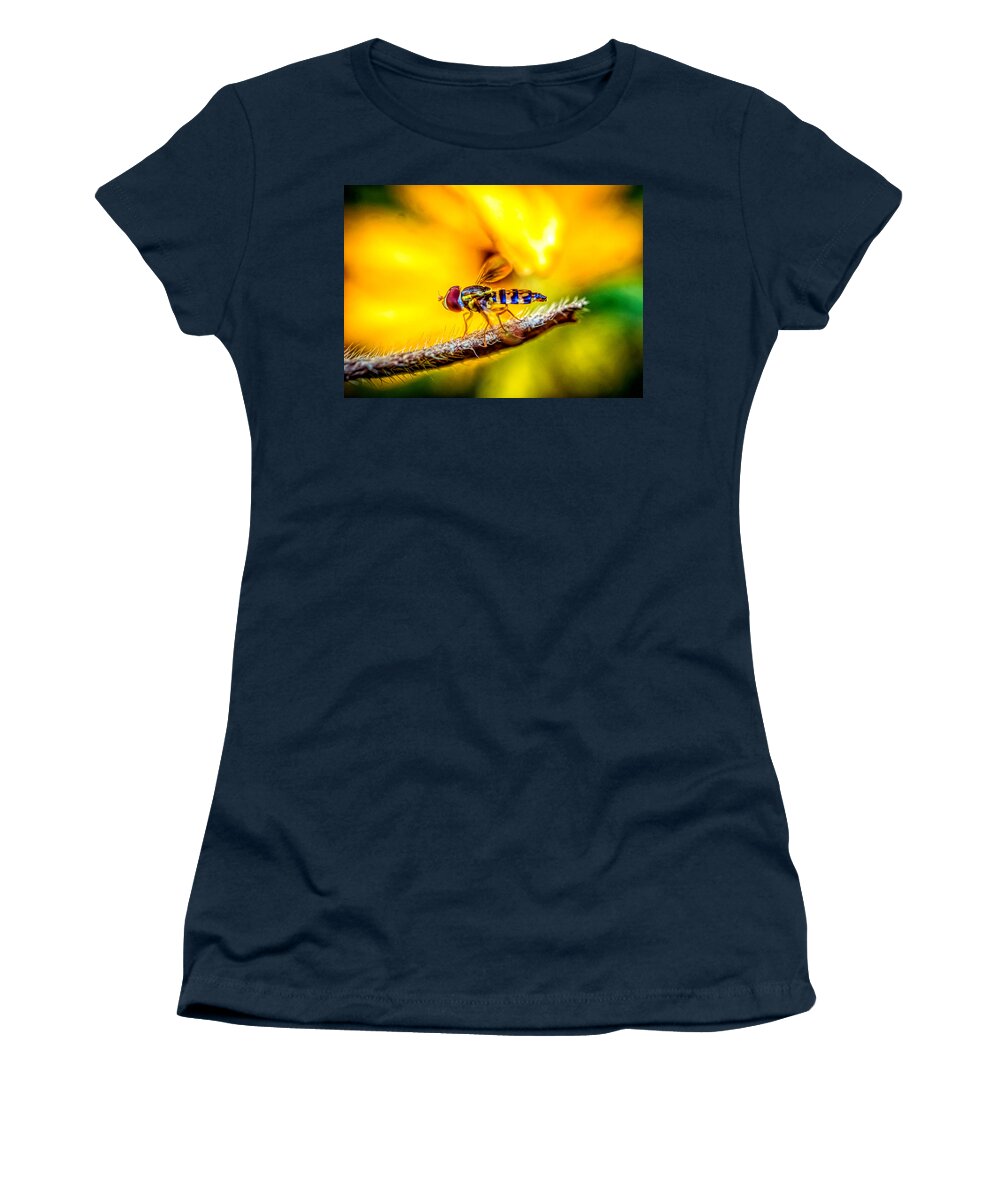 Tiny Cute Bee Women's T-Shirt featuring the photograph Tiny cute bee by Lilia S