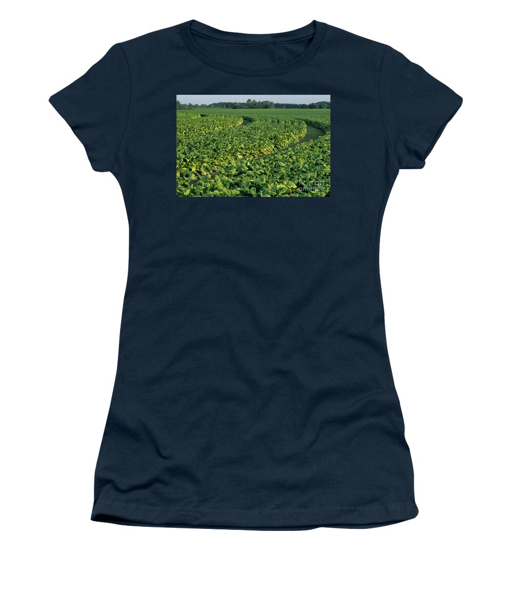 Tobacco Women's T-Shirt featuring the photograph Tobacco Field by Inga Spence