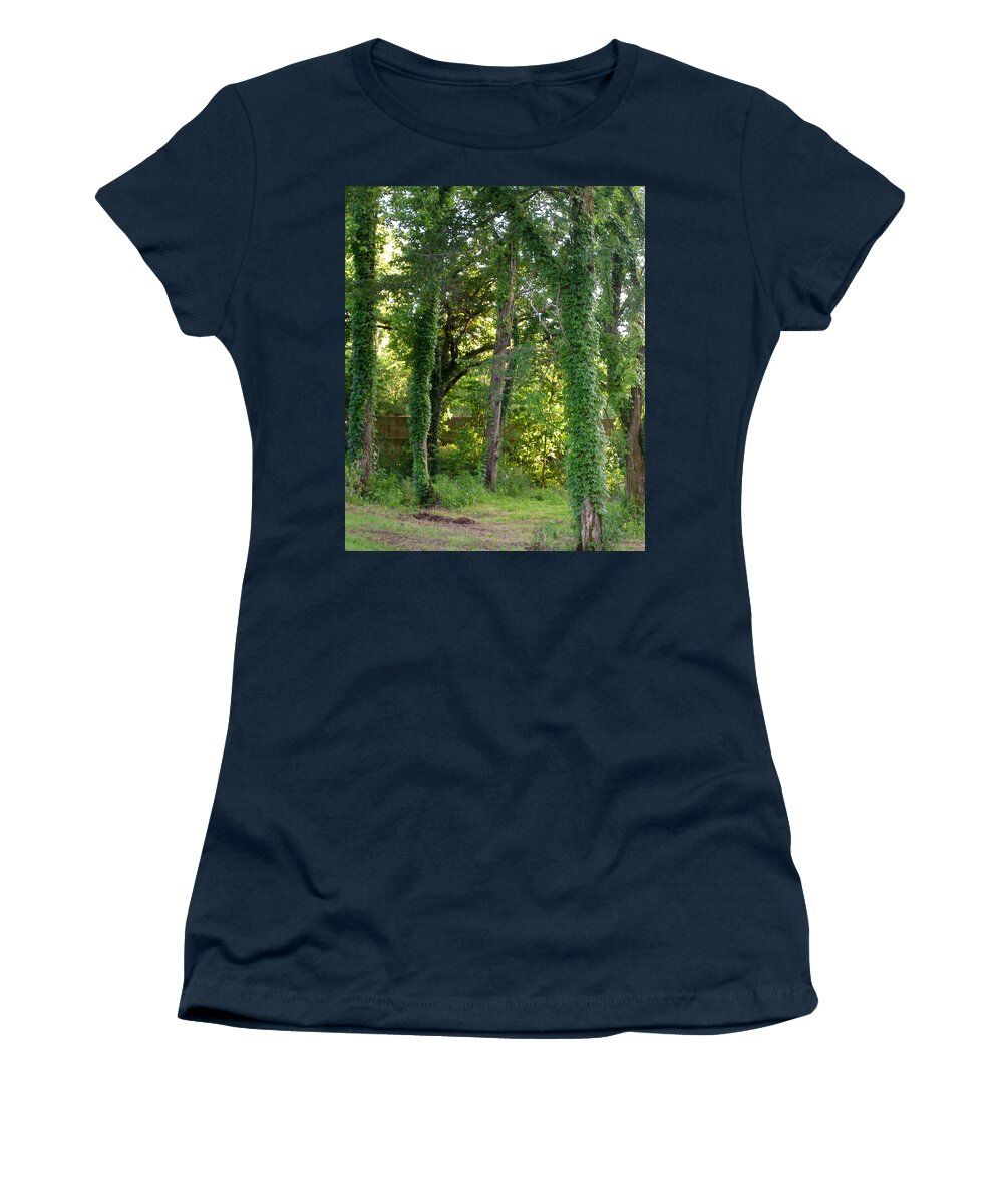 Trees Women's T-Shirt featuring the photograph Tree Cathedral 2 by Anne Cameron Cutri