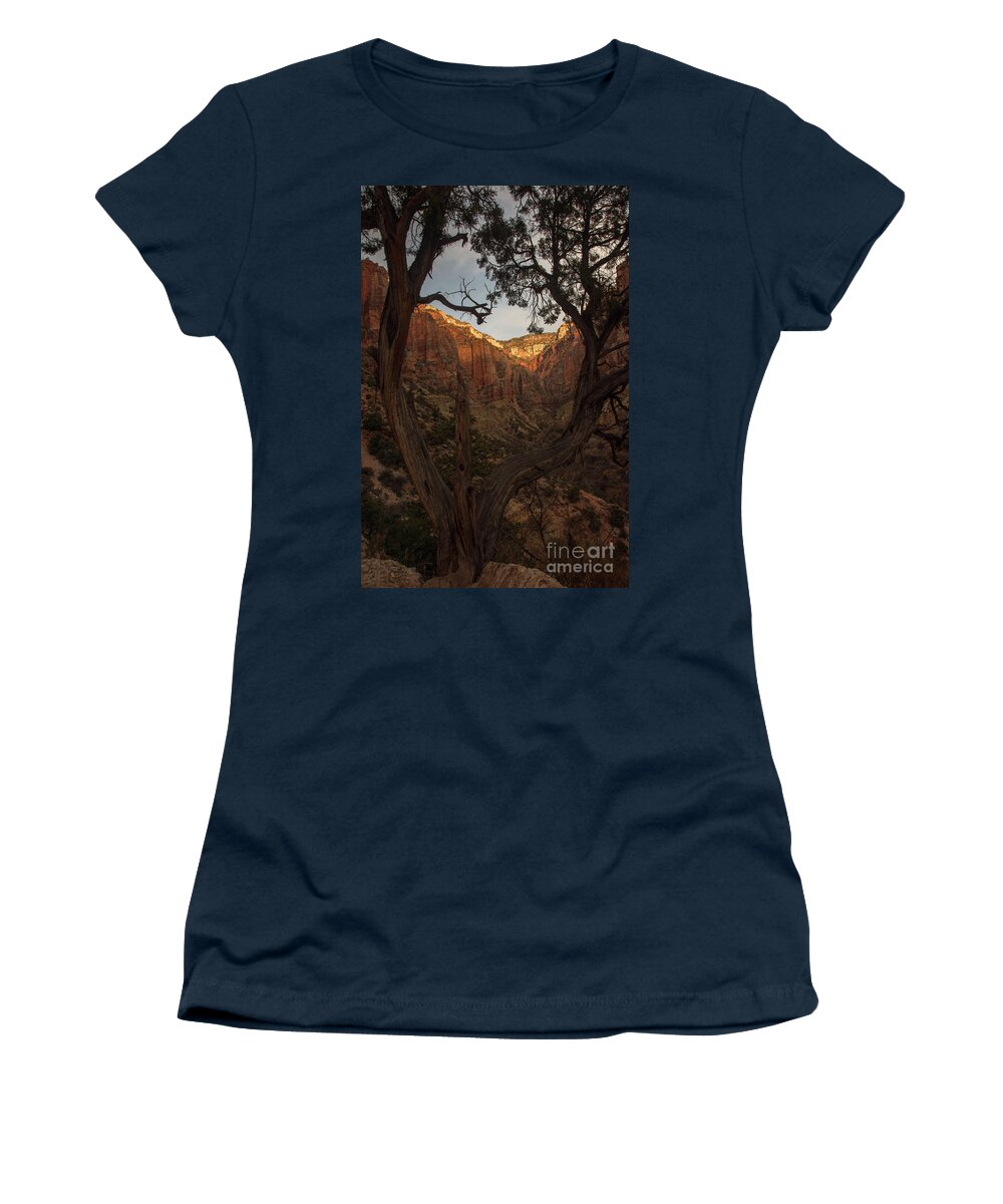 Tree Women's T-Shirt featuring the photograph Tree Heart by Jane Axman