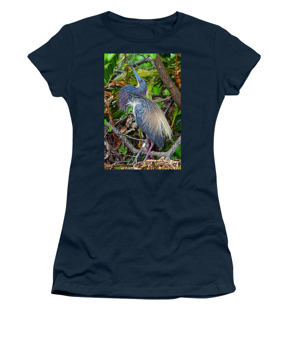 Bird Women's T-Shirt featuring the photograph Tricolor Breeding Display by Larry Nieland