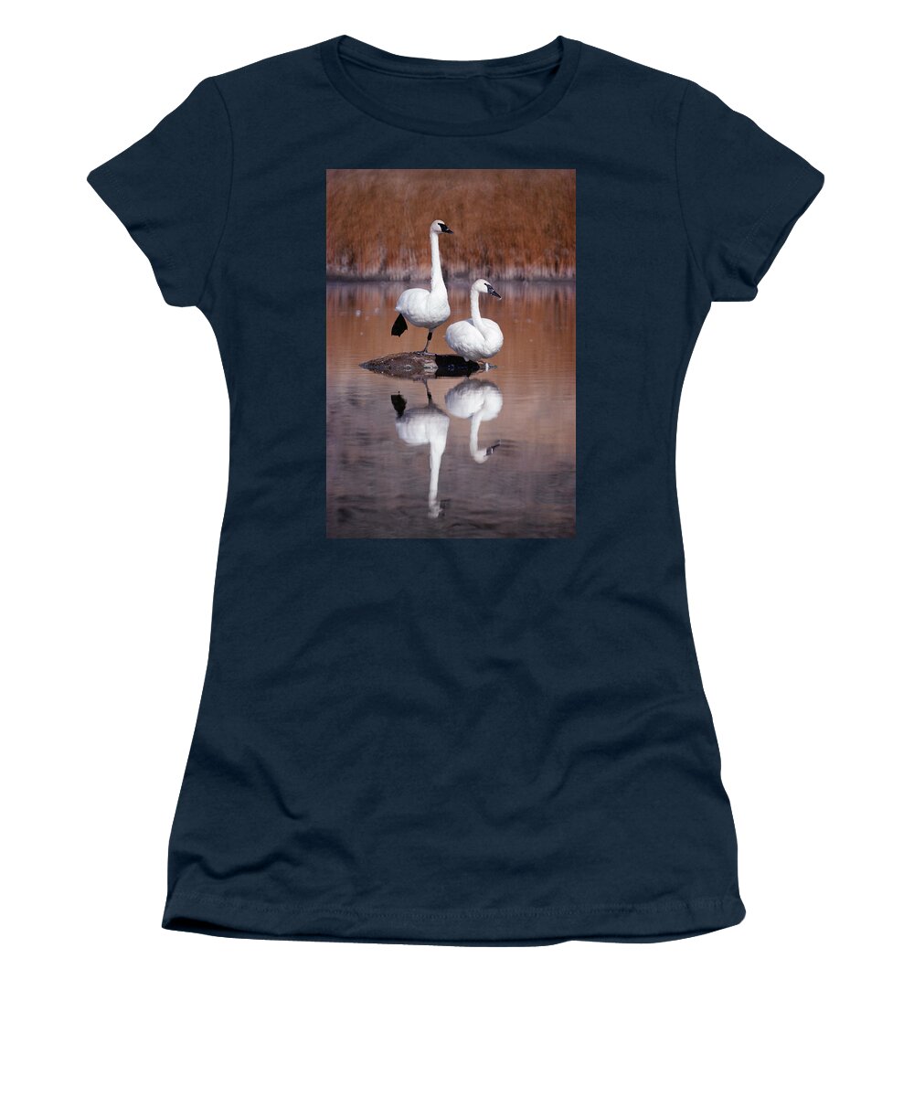 Mp Women's T-Shirt featuring the photograph Trumpeter Swans Yellowstone by Michael Quinton