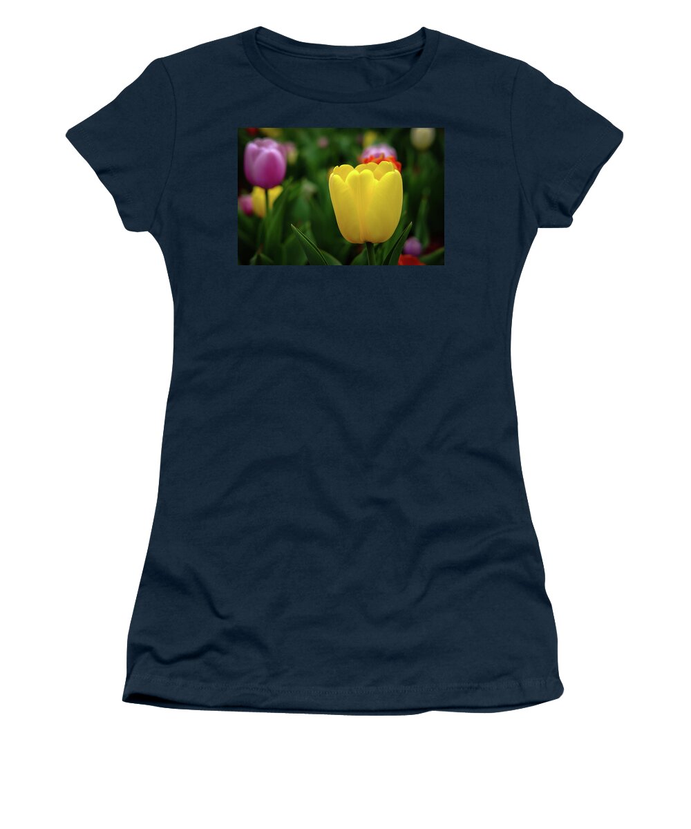 Flowers Women's T-Shirt featuring the photograph Tulips at Campus by Monte Stevens