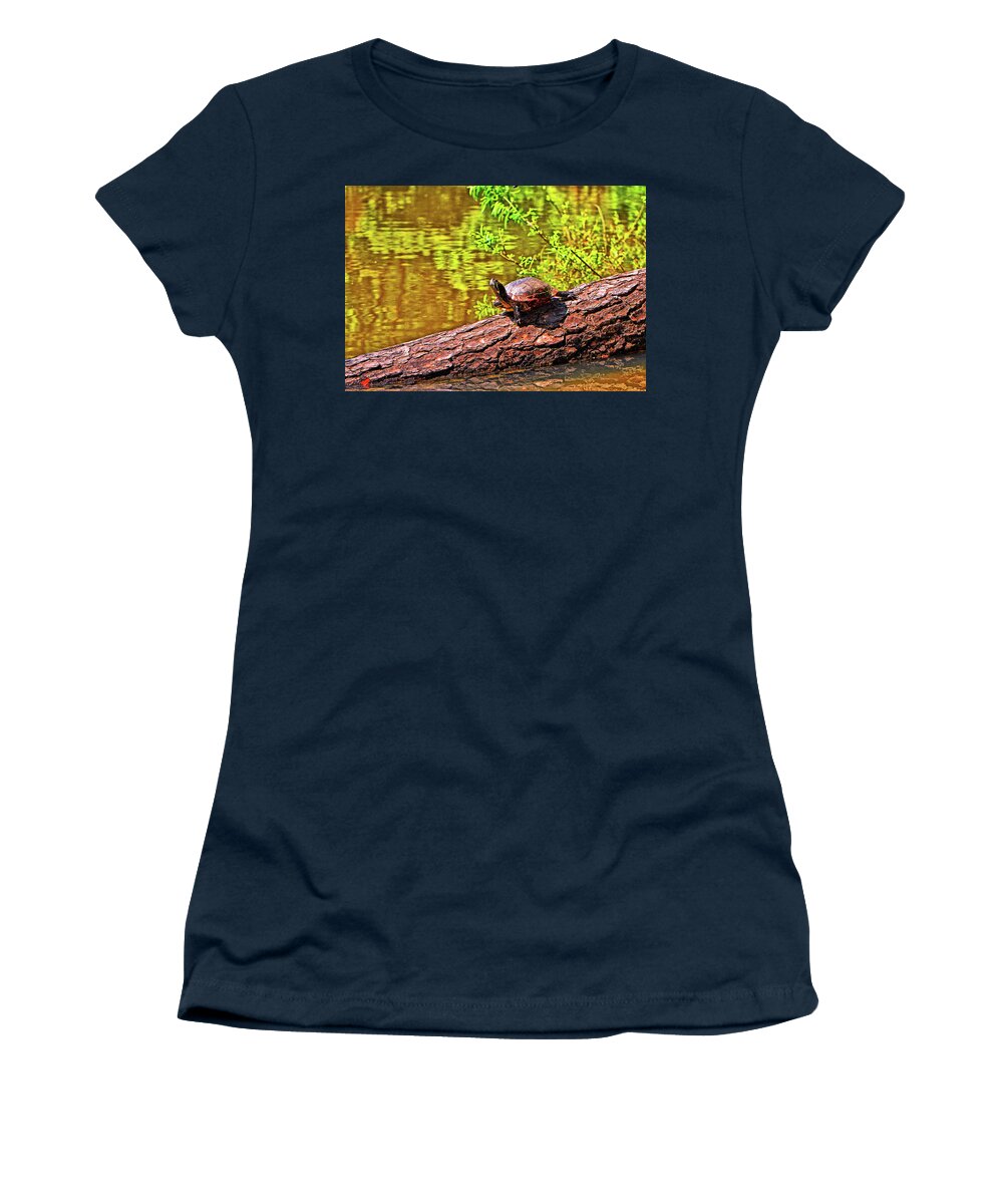 Amphibian Women's T-Shirt featuring the photograph Turtle 008 by George Bostian