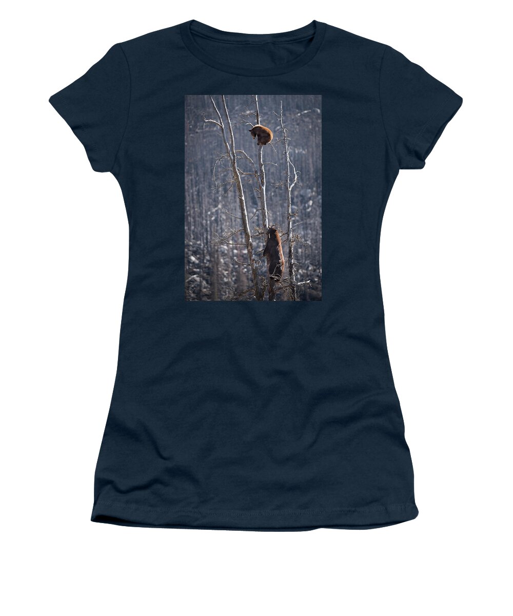 Bear Women's T-Shirt featuring the photograph Two Bears Up a Tree by Bill Cubitt