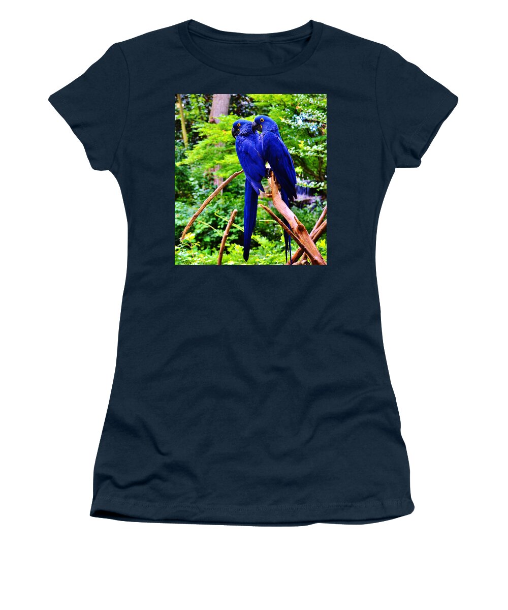 Blue Women's T-Shirt featuring the photograph Two Birds of a Feather by Eileen Brymer