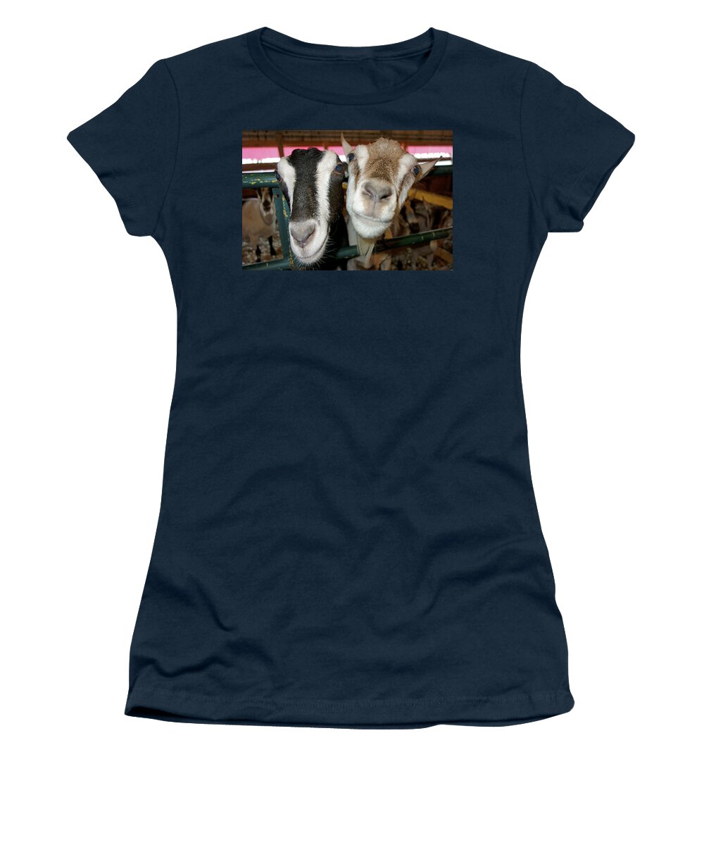 Petting Zoo Women's T-Shirt featuring the photograph Two goats by Gary Corbett