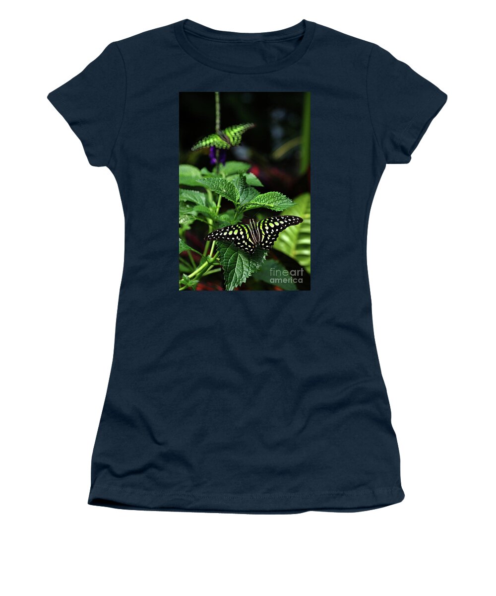Animal Women's T-Shirt featuring the photograph Two Tailed Jay Butterflies- Graphium agamemnon by Rick Bures