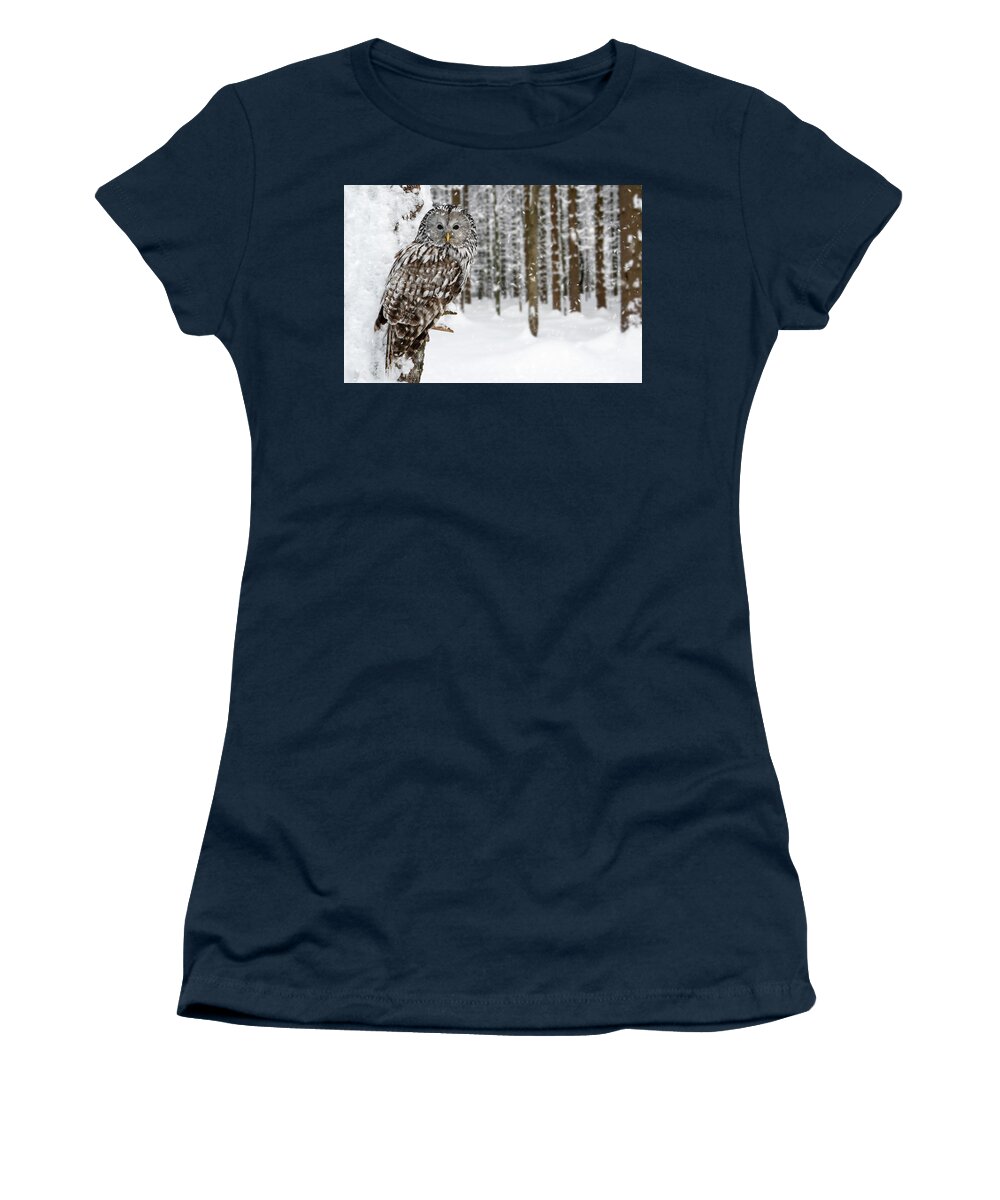 Ural Owl Women's T-Shirt featuring the photograph Ural Owl in the Snow by Arterra Picture Library