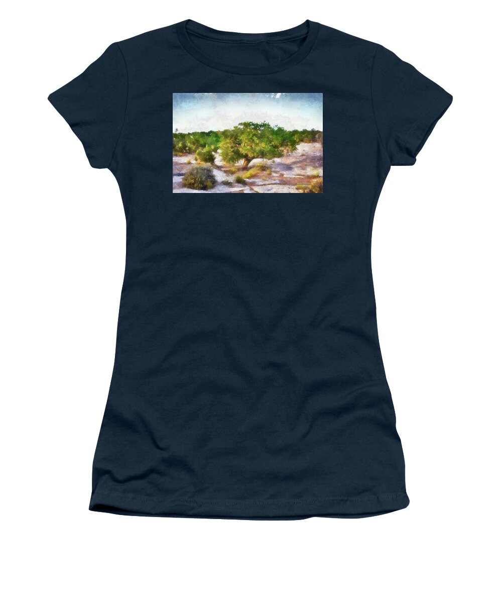 Utah Women's T-Shirt featuring the photograph Utah Trees Valley Of The Gods Bears Ears National Monument 02 PA by Thomas Woolworth